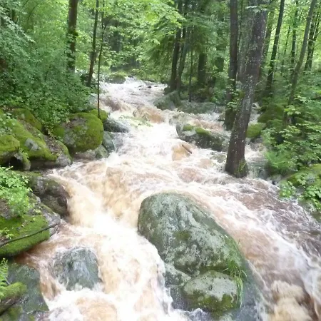 Guest house Gruenlasmuehle