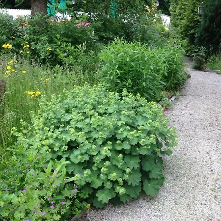 Guest house Gruenlasmuehle