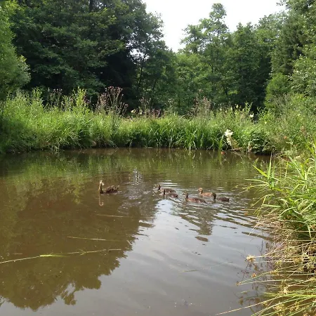 Guest house Gruenlasmuehle Brand