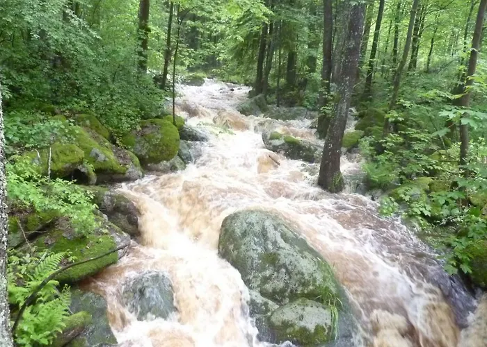 게스트하우스 Gruenlasmuehle