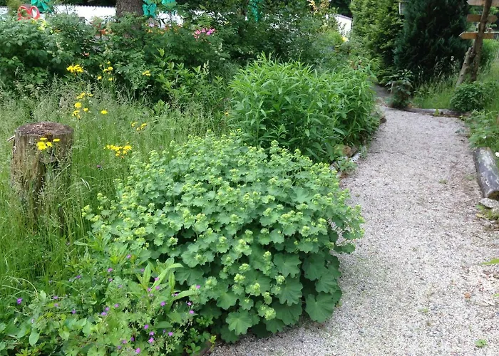 게스트하우스 Gruenlasmuehle