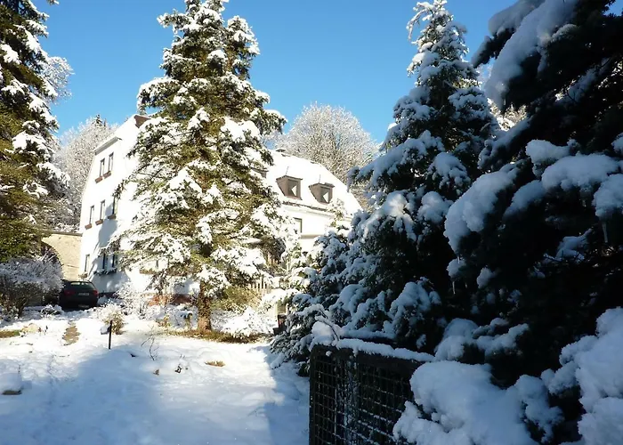 게스트하우스 Gruenlasmuehle 3*