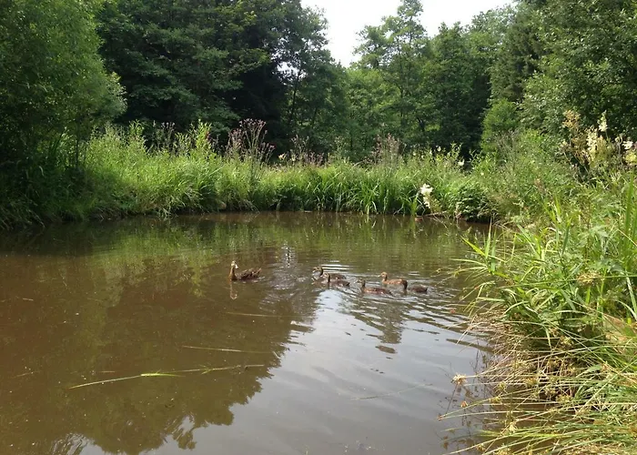 게스트하우스 Gruenlasmuehle 브란트