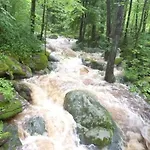 Vendégház Gruenlasmuehle