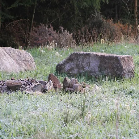 Grünlasmühle Brand
