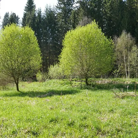 Gruenlasmuehle