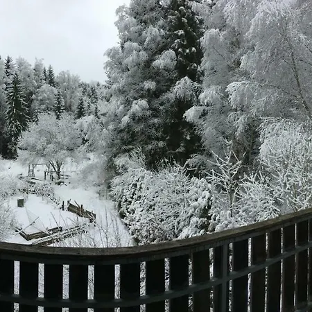 Grünlasmühle Konukevi Brand