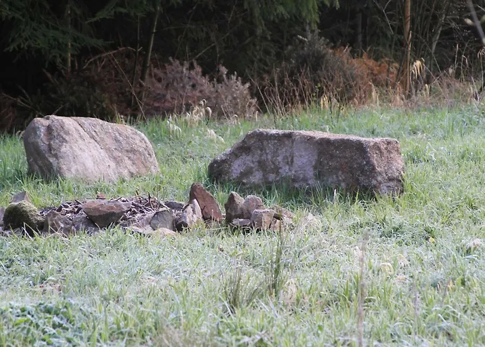 Gruenlasmuehle Brand